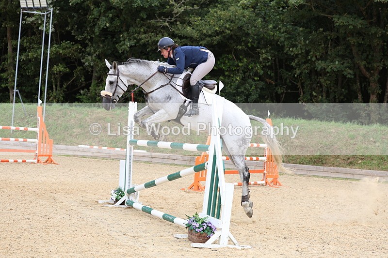 3E7A6465 - Class 9: Senior Foxhunter/1.20 open