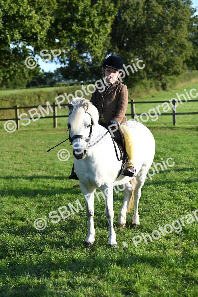 SBM_54137 - S23 - 1st Ridden Mountain & Moorland Pony