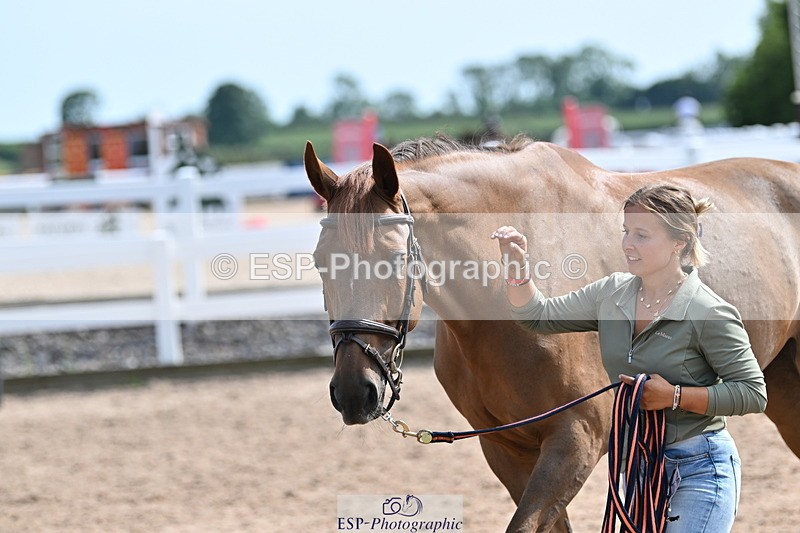 240717A-160706-03316 - Trot Up 4pm to 5pm