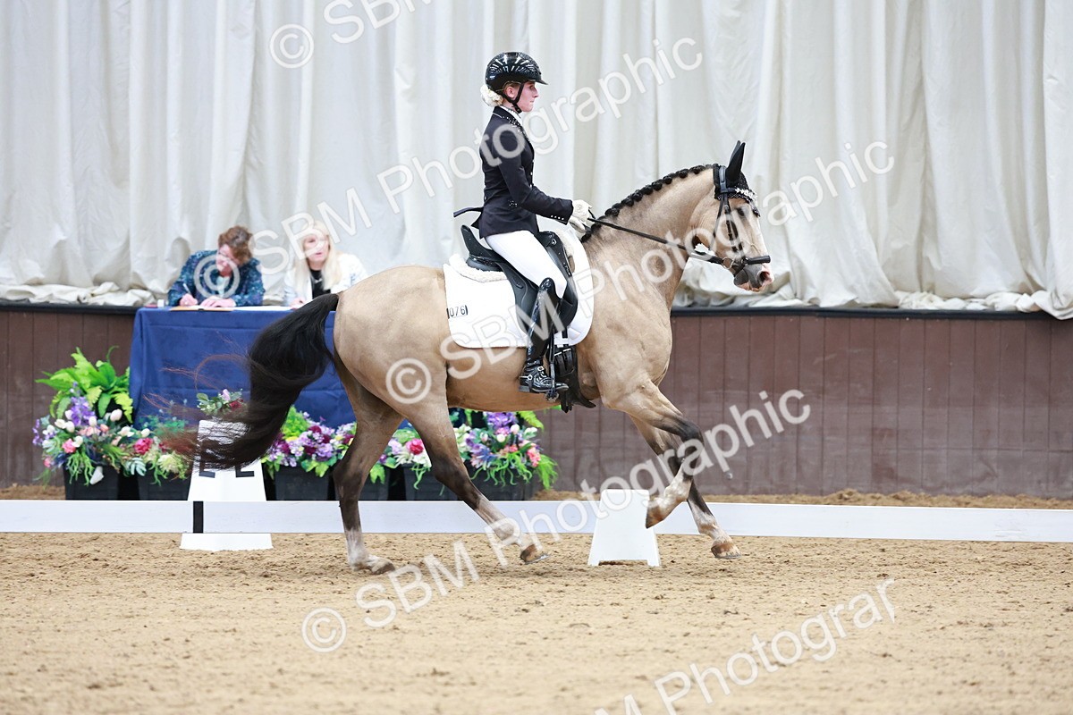 SBM_017360 - Class15 - FEI Pony