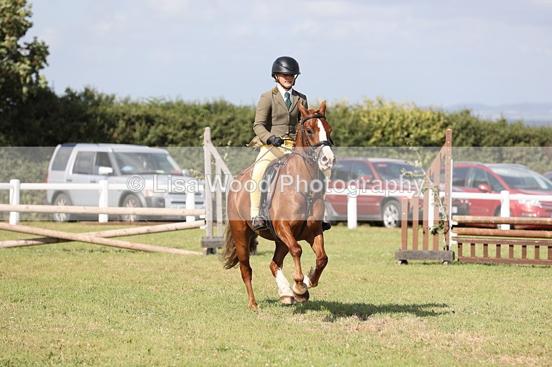 JPP_2744 - Class 20: Working Hunter 70cm