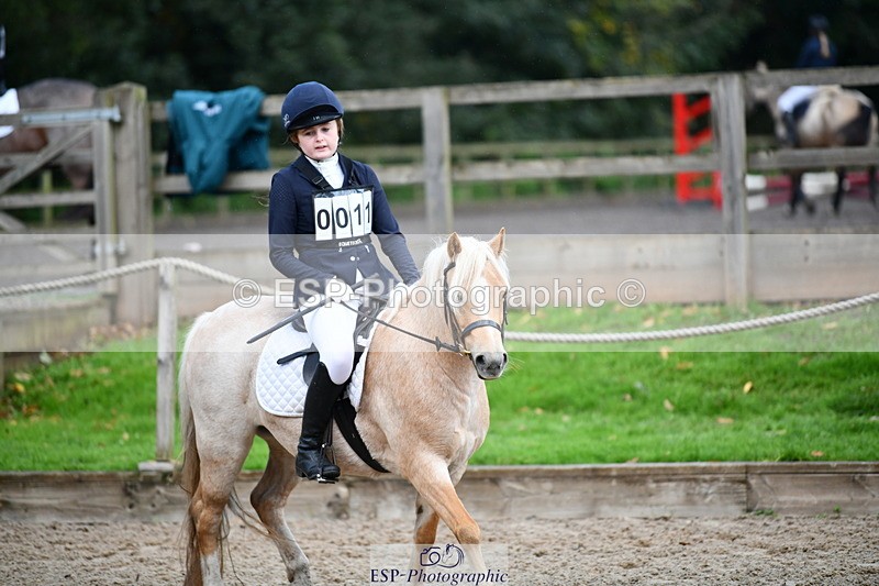 251004A-101130-00389 - Classes 1-2-3 40cm