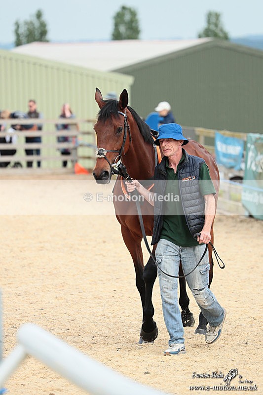 PtP 040526 398 - Mollington Point-to-Point 04/05/26