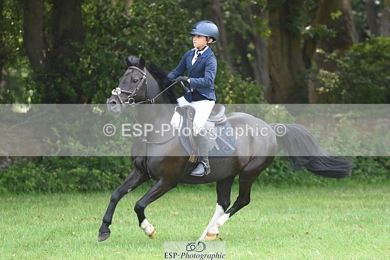 230617-100554-01786 - Cls 15 British Novice & 80cm Open