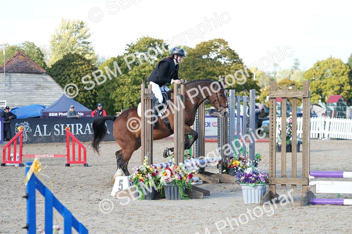 SBM_29000 - J43 - Horse & Hound Open 50cm