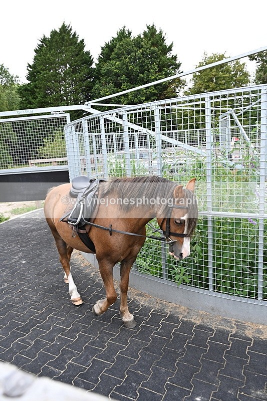 WJ6_2948 - Berks & Bucks - The Old farmhouse - Hound Exercise 20-08-25