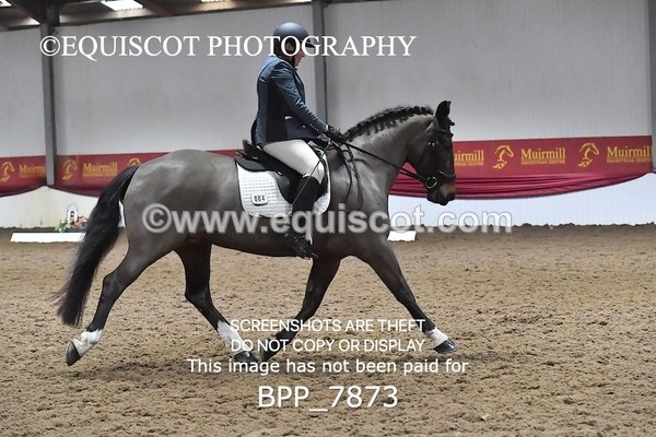 BPP_7873 - ELEM TEST 6