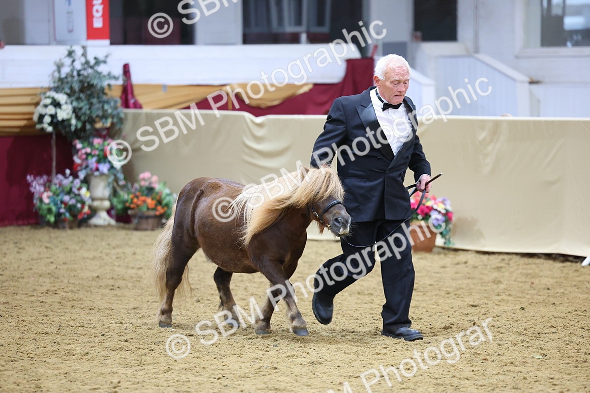 SBM_20914 - Class 902 - Supreme Final IH Veteran
