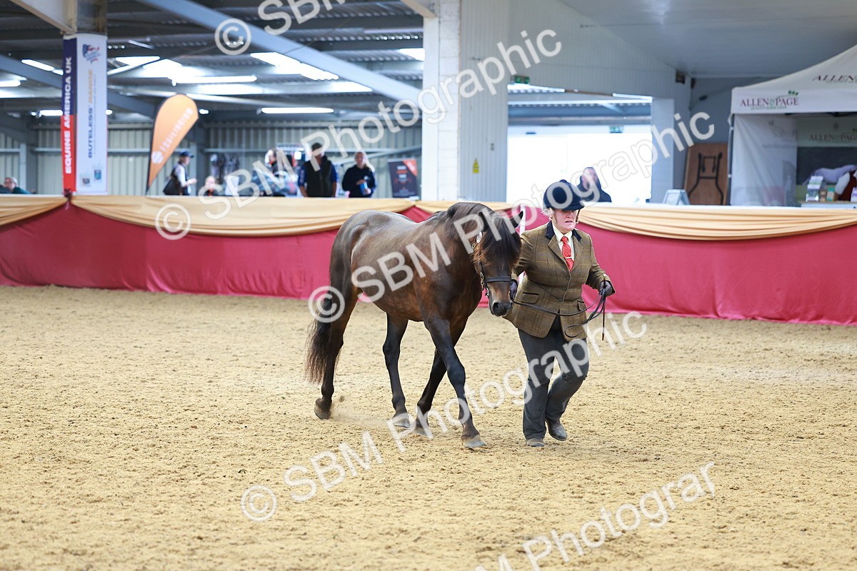 SBM_04126 - Class 9R - IH Pre-Vet