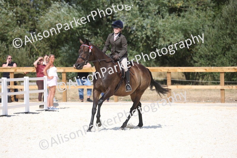 20260802-0736 - Class 8 - Best Riding Horse or Pony