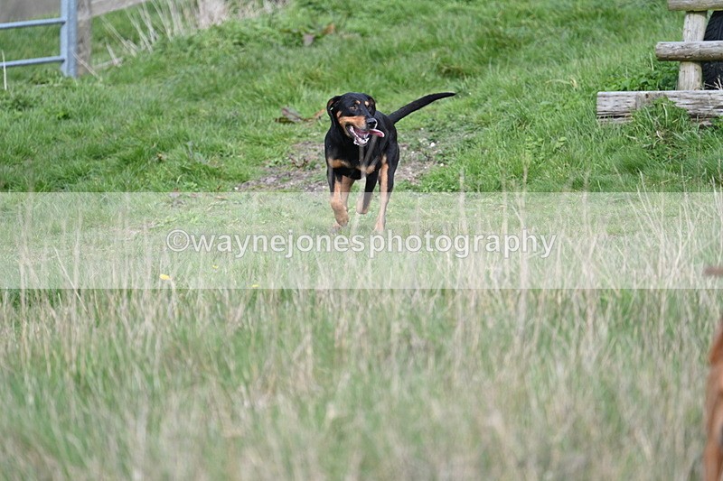 WJ7_8038 - Line 2 A camera