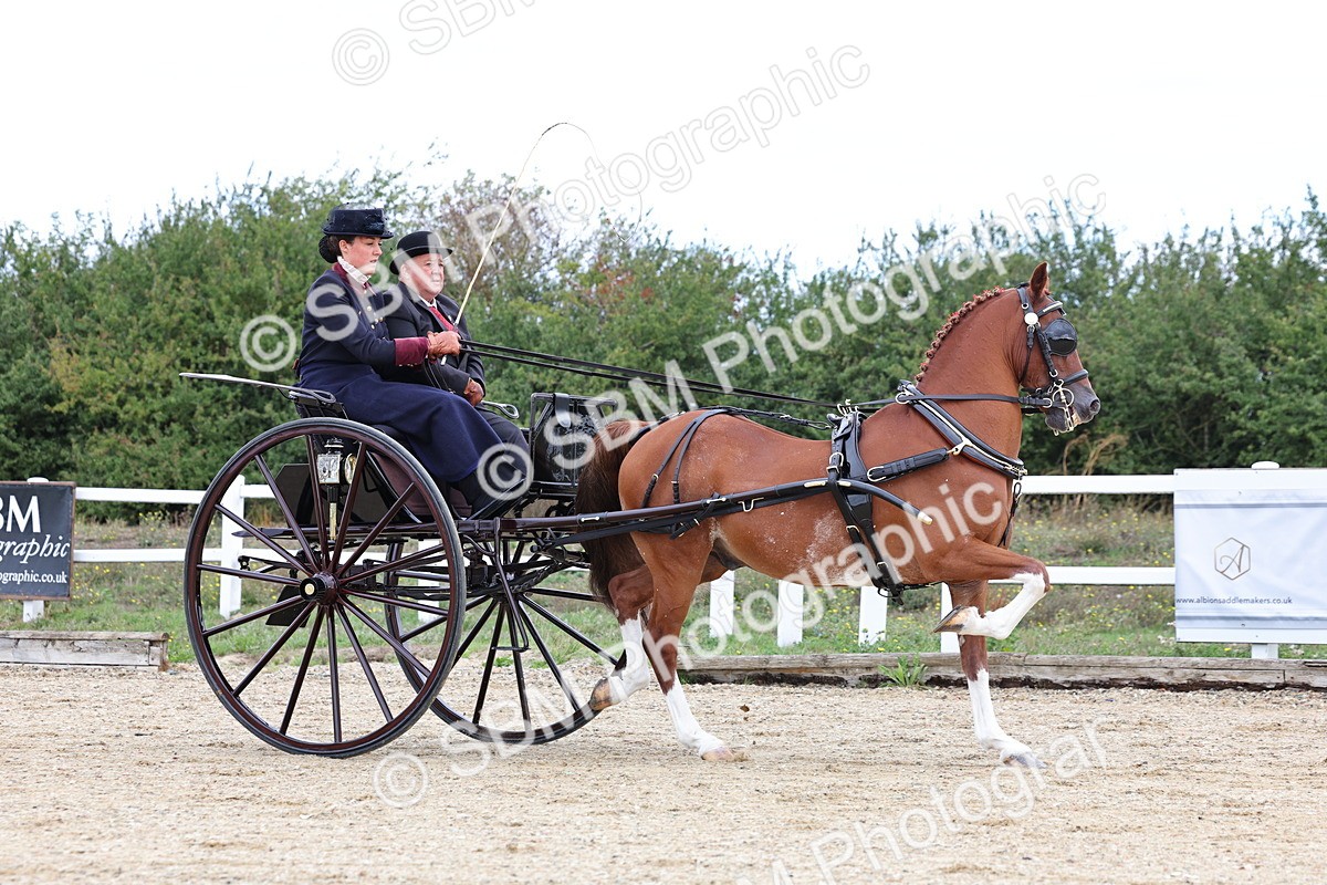 SBM_000393 - Class 4 - Junior Whip
