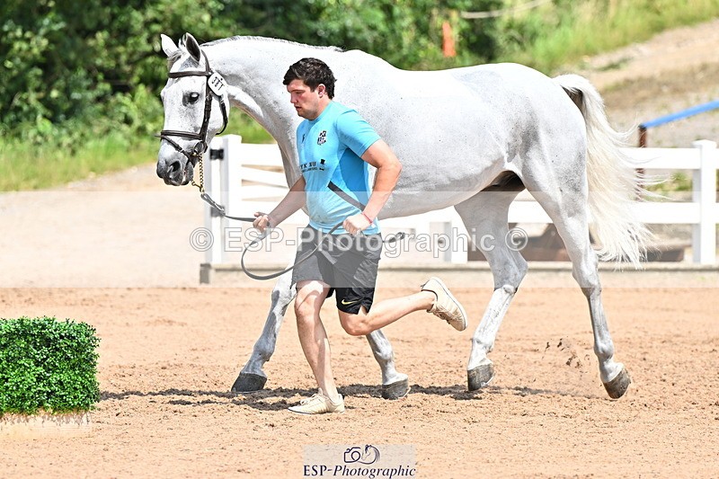 240718A-105312-01694 - Trot Up 1pm to 2pm