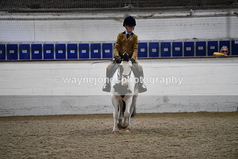 WJ5_7282 - Class 11 Ridden PC - RC Pony