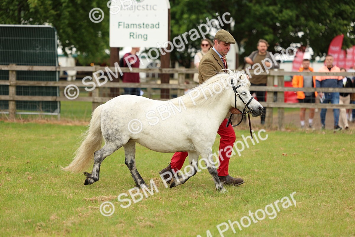 SBM_03537 - Class 58-67 - M&M Non Welsh Pony In hand