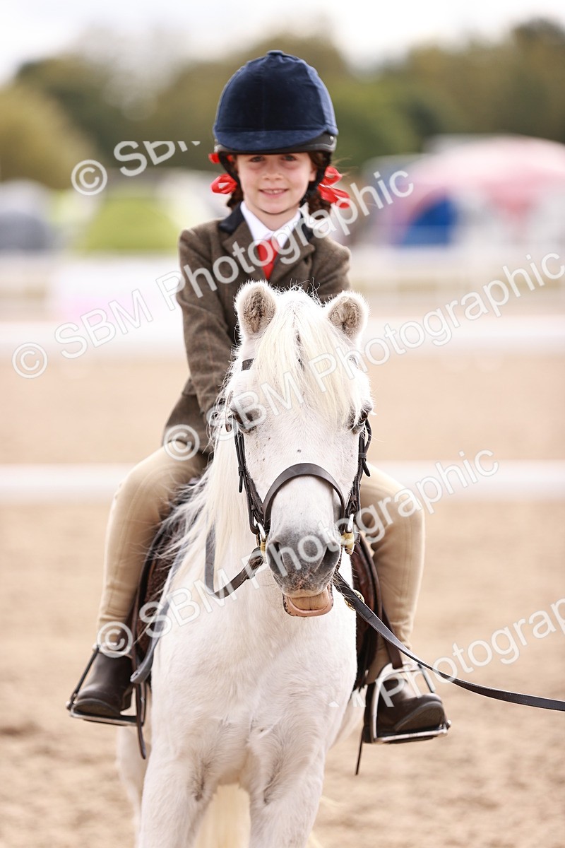 SBM_18317 - Class 417 - Handsome Gelding (IH or Ridden - JNR)