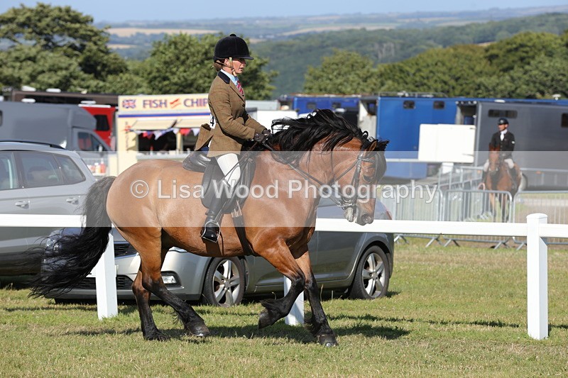 1X9A6073 - M & M Ridden Championship