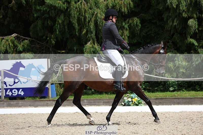 230812-135339-04337 - Cls 5 Novice Bronze 13.40 to 14.45 break