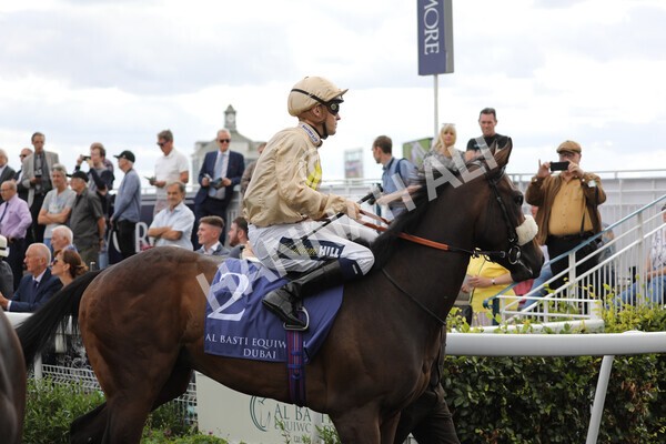 yr19082022r3-4 - Race 3 3.00pm Al Basti Equiworld Dubai Gimcrack Stakes