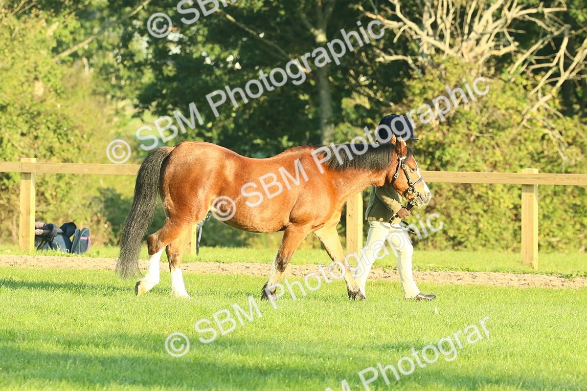 SBM_57317 - S37 - Starters In Hand Showing