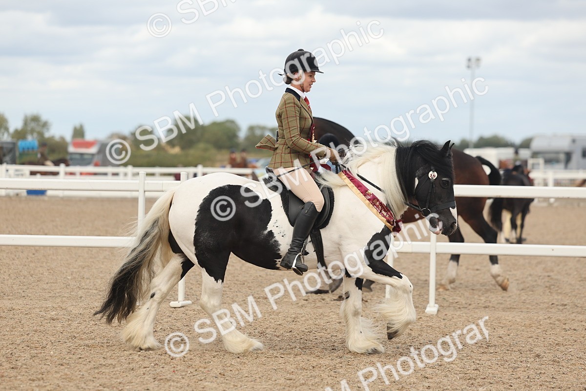 SBM_18093 - Class 314 - Family Horse Pony
