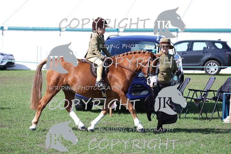 APP_3847 - Class 13 Lead rein