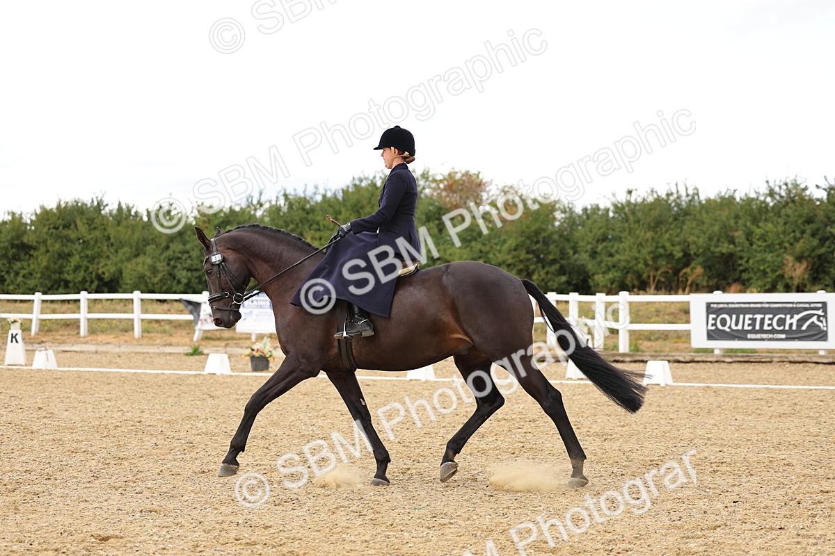 SBM_004619