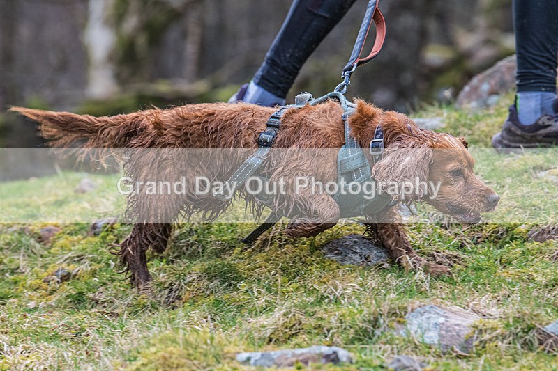 Buttermere-979 - Fellside Events Buttermere Trail Race Sunday 22nd March 2026