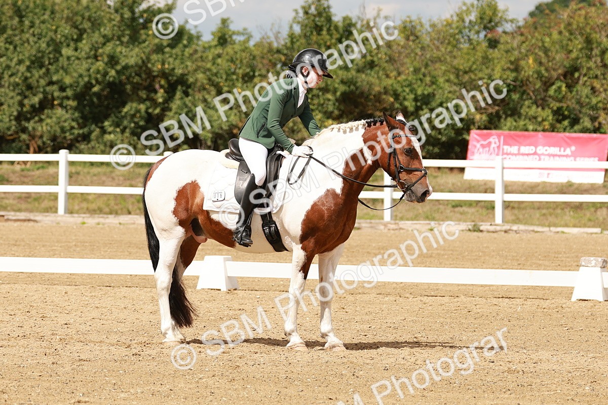 SBM_001989 - Class 8 - Elementary 6