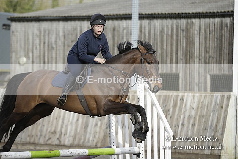 BVRC 050320 0009 - Bourne Valley riding Club Show Jumping Tidworth 08/03/20