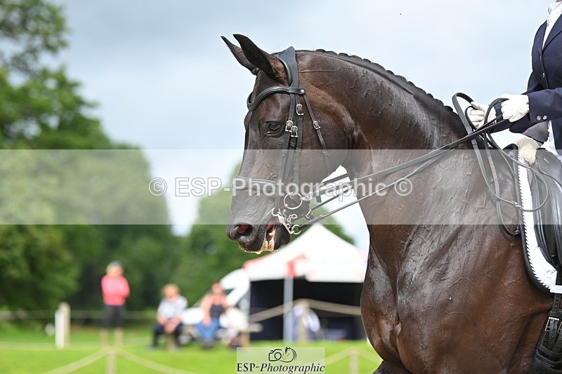 230813-110057-06497 - Cls 12 Elem Silver 10.35 to End