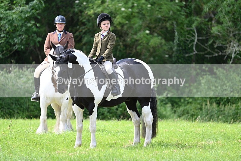 WJ7_1427 - Class 11 Condition & Turnout