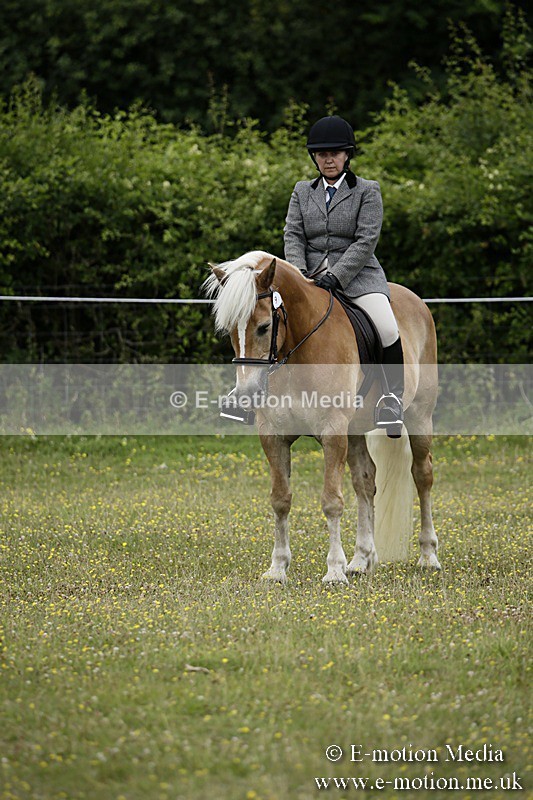 BVR160717-1367 - Ring 1 BVRC Show 16/07/17