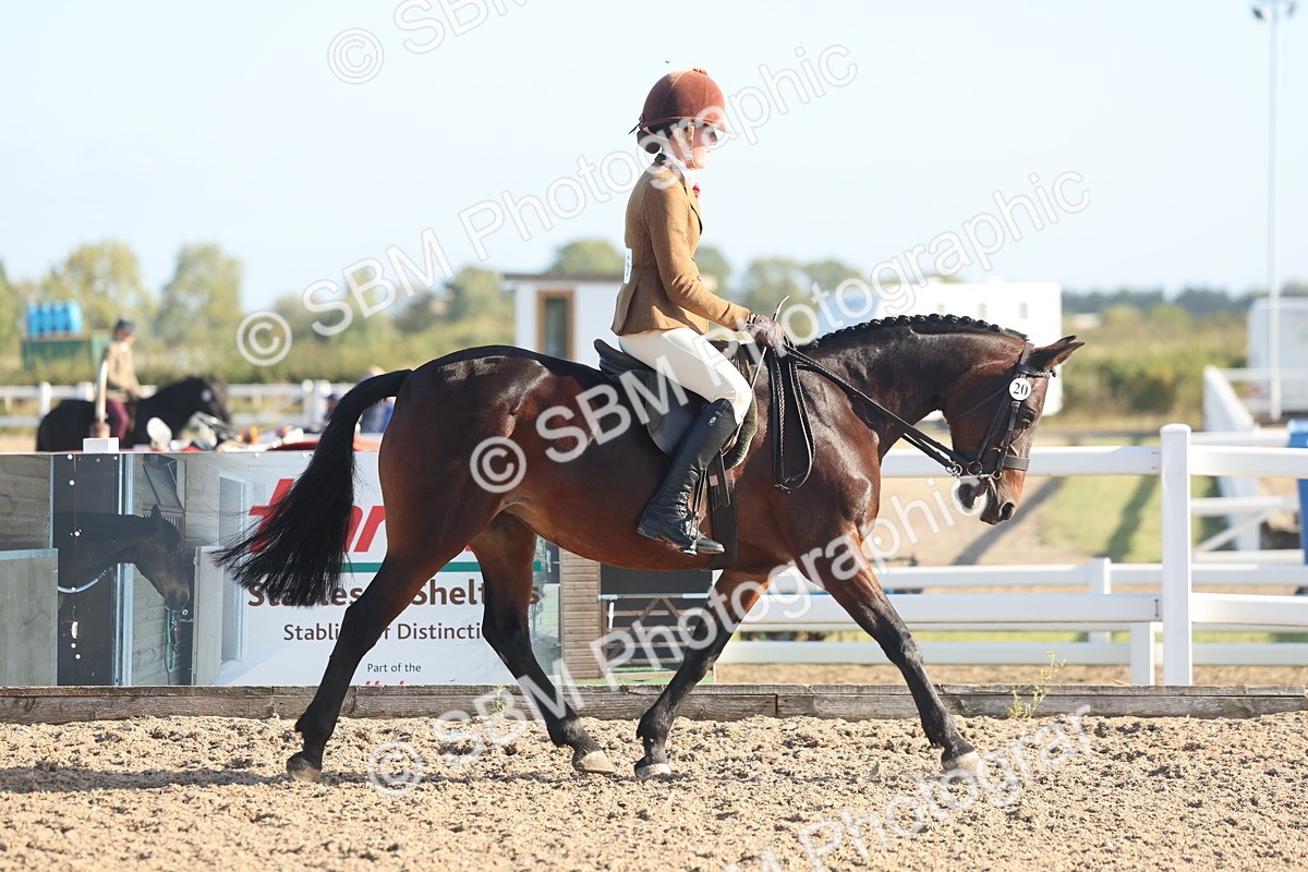 SBM_22110 - Class 801 - Ridden Veterans