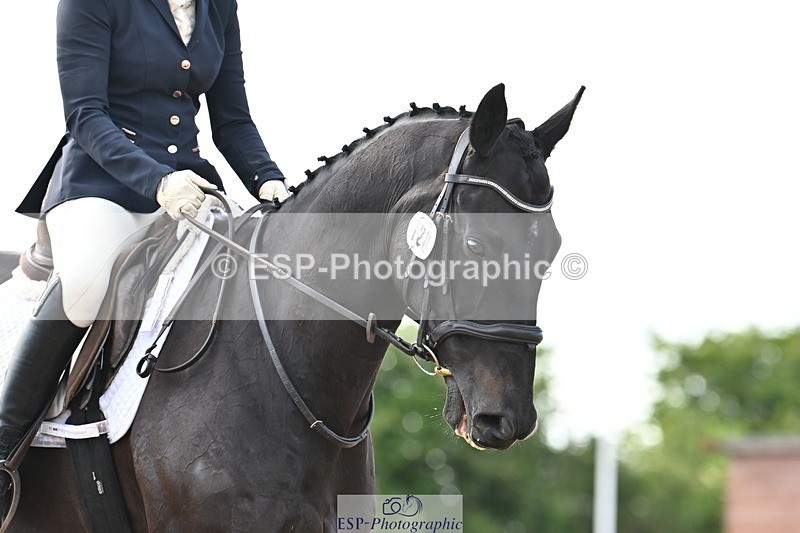 240622A-180329-15461 - Cls 7B+C Elementary 44 RoR