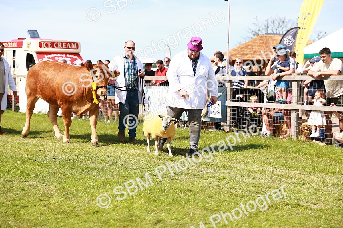 SBM_08321 - Grand Parade