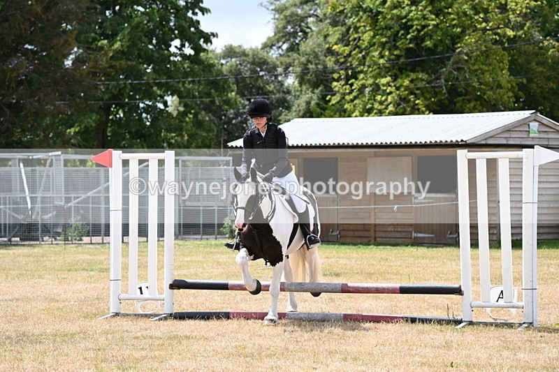 WJ6_5337 - Class 12 Minimus Jumping 45cm