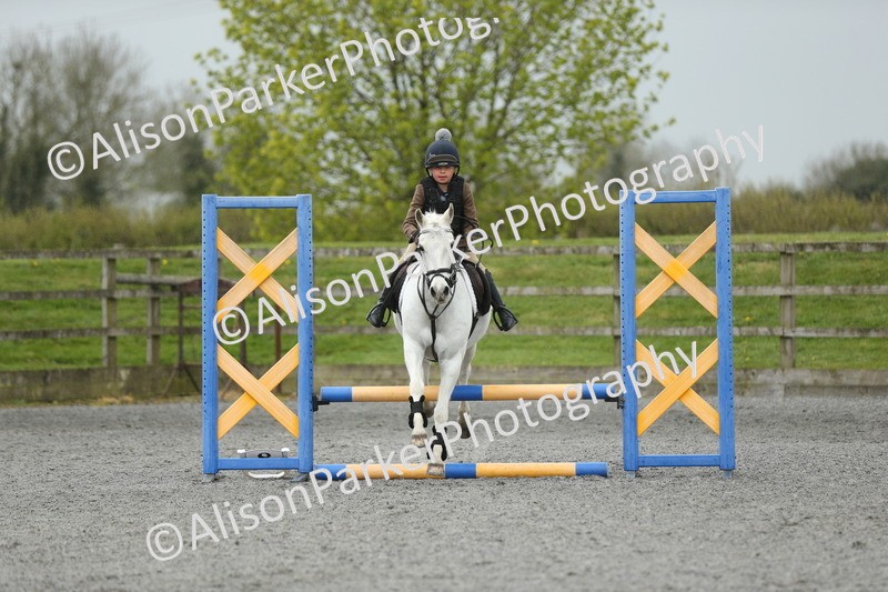 20260412-1872 - Show Jumping