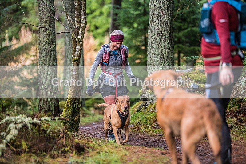 Glentress-2406 - High Terrain Events Glentress Winter Trail half Marathon & 10K Trail Run Saturday 19th November 2022