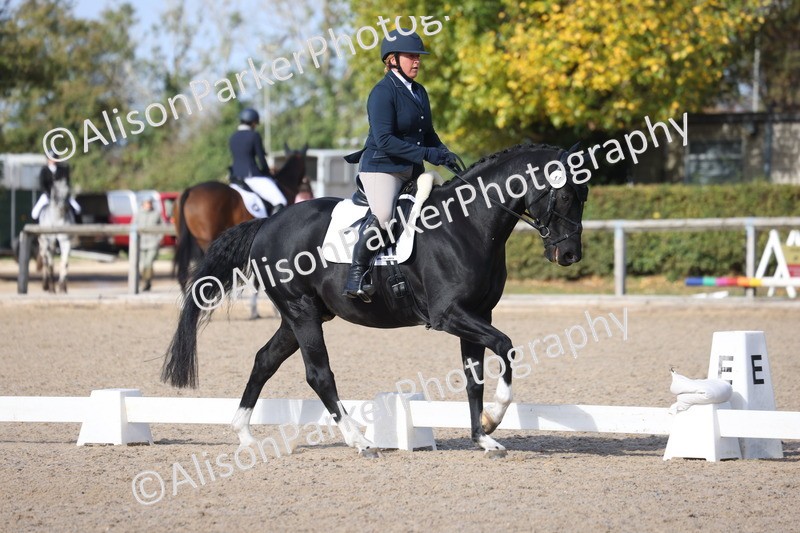 20261010-0608 - Class 5 - Novice 1