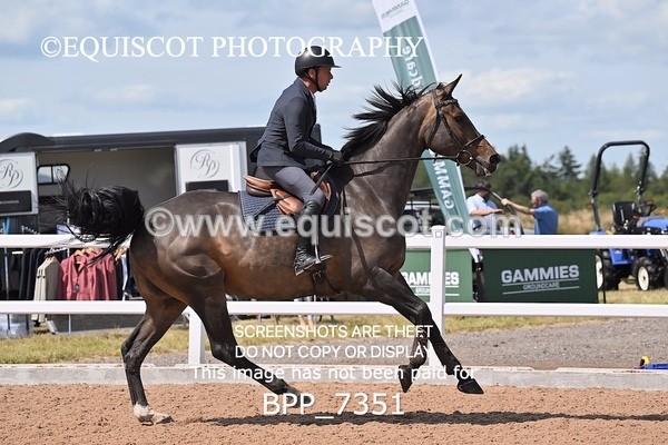 BPP_7351 - CLASS 14 FRI Nupafeeds Senior Dicovery/1m open