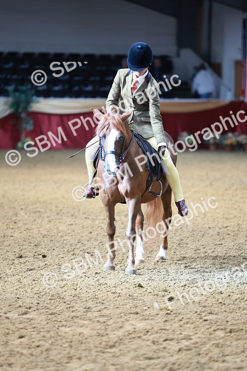 SBM_11905 - Class 102 - Equitation (Best Rider) Adult
