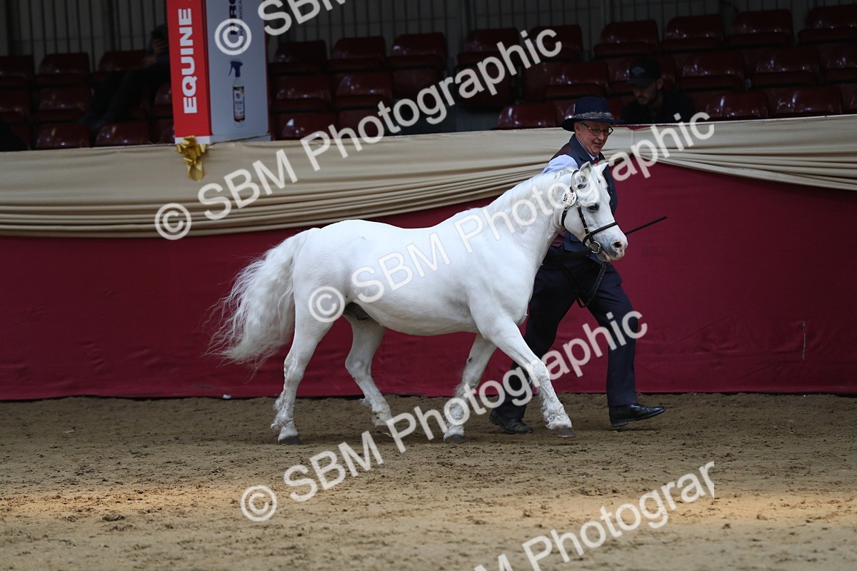 SBM_04937 - Class 8R- Regional -IH Veteran