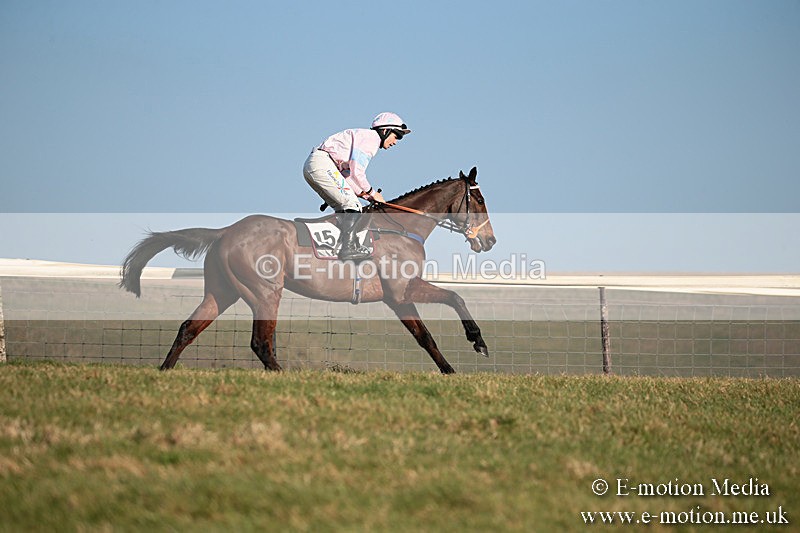 PtP 230219 411 - Vine & Craven Point-To-Point - Barbury 23/02/19