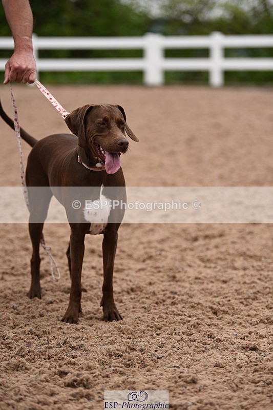 240518A-122346-01148 - Cls 4 Best Crossbred