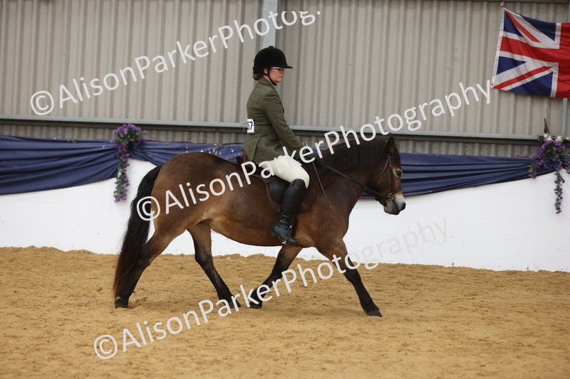 20260913-0614 - Class 126 - Novice Ridden