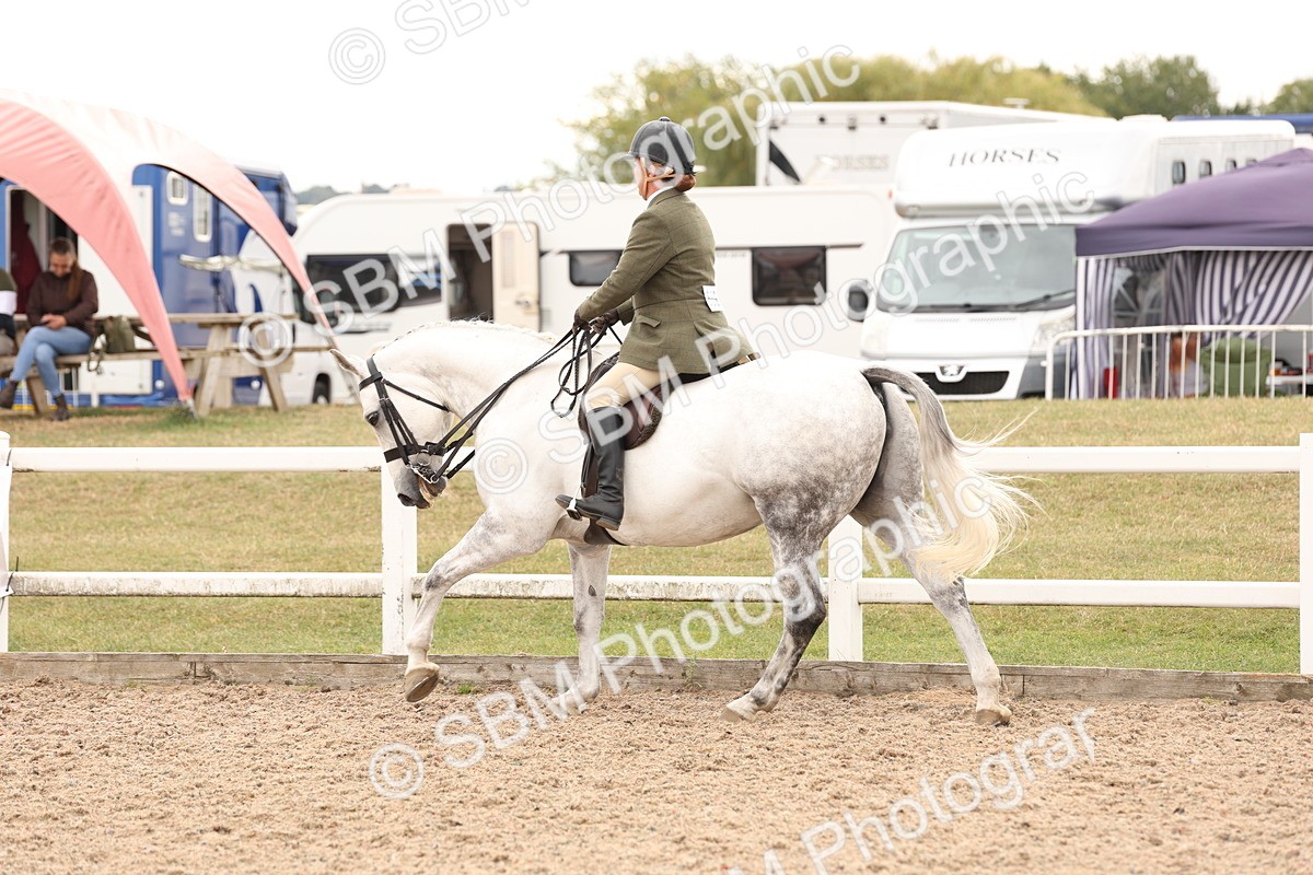 SBM_16497 - Class 212 - Ridden Hunter - Small