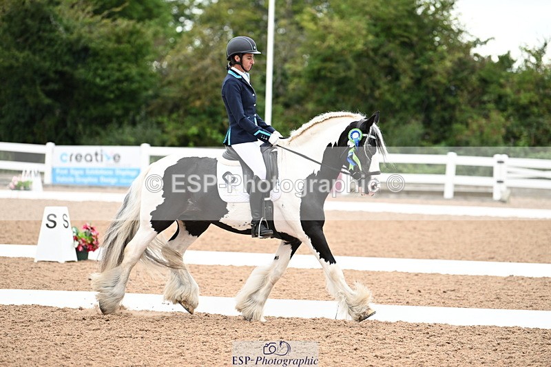 240815A-153112-02341 - Cls 9-P Freestyle Adv Medium Bronze