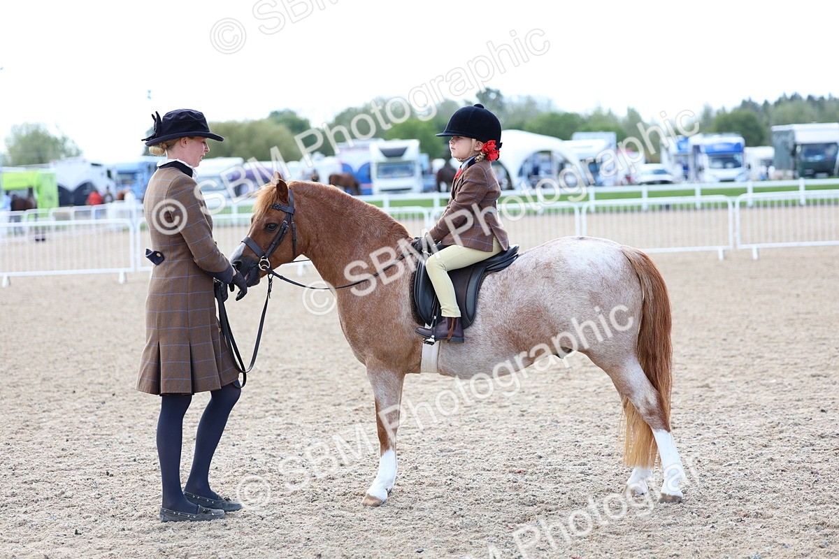 SBM_13100 - Class 309 - Lead Rein Pony