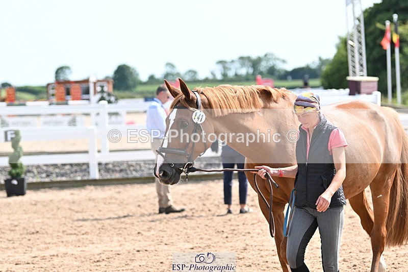 240717A-155626-03207 - Trot Up 3pm to 4pm